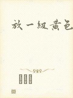 放一级黄色录像