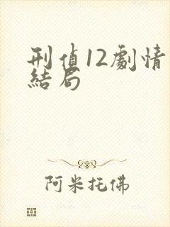 刑侦12剧情大结局