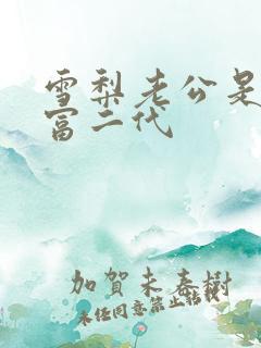 雪梨老公是超级富二代