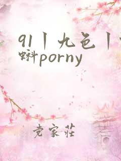 91丨九色丨蝌蚪porny