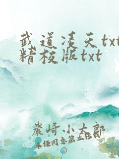 武道凌天txt精校版txt