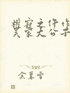 权宠之仵作医妃吴家大公子