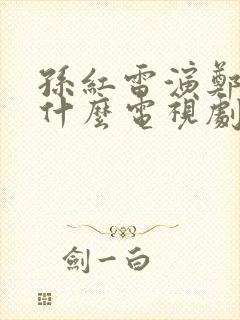孙红雷演郑楚森什么电视剧