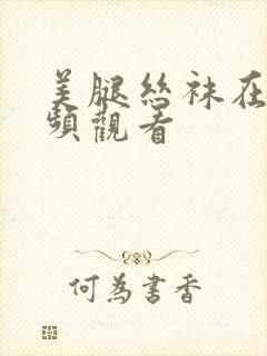 美腿丝袜在线视频观看