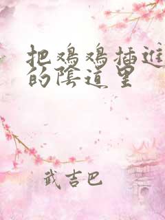 把鸡鸡插进女人的阴道里