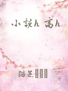小说h 高h