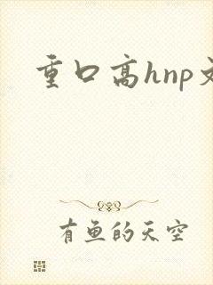 重口高hnp文