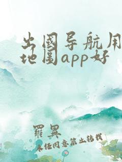 出国导航用哪个地图app好