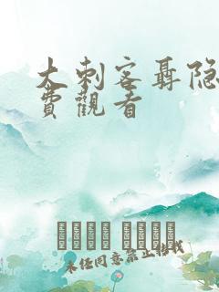 大刺客聂隐娘免费观看