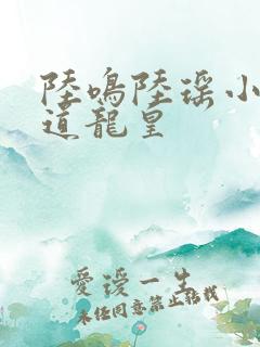 陆鸣陆瑶小说万道龙皇