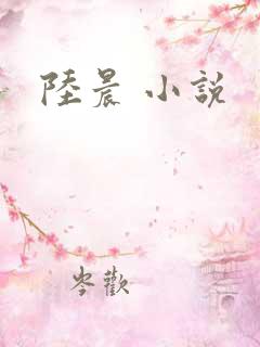 陆晨 小说