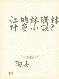 江明林珊林岚是什么小说?