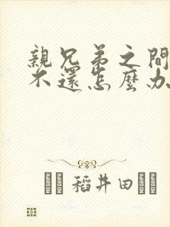 亲兄弟之间借钱不还怎么办