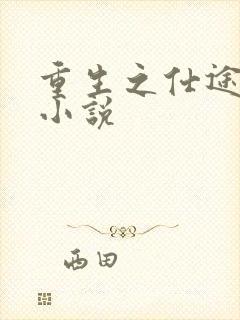 重生之仕途风流小说