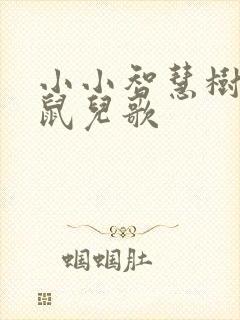小小智慧树小老鼠儿歌
