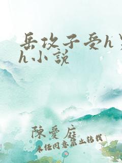 岳攻子受h男男h小说