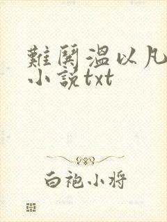 难哄温以凡桑延小说txt