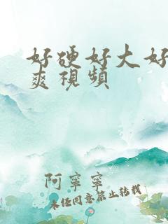 好硬好大好爽好爽视频