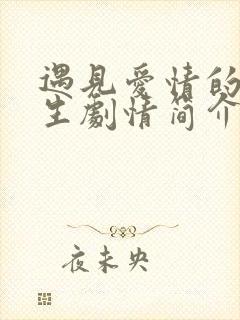 遇见爱情的利先生剧情简介