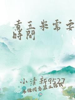 煮玉米需要多久时间