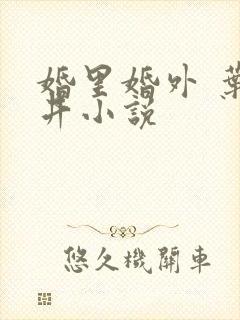 婚里婚外 叶晓井小说