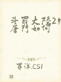 斗罗大陆2绝世唐门如何