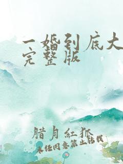 一婚到底大结局完整版