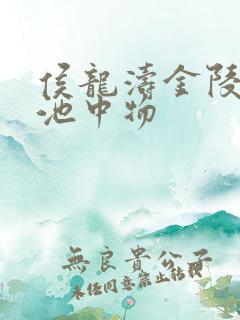 侯龙涛金陵岂是池中物