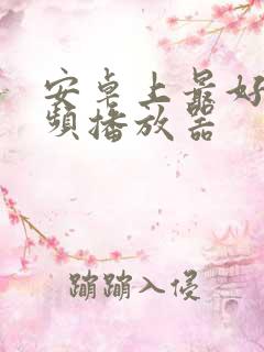 安卓上最好的视频播放器