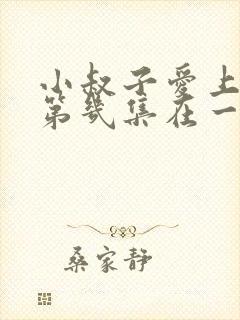 小叔子爱上嫂子第几集在一起