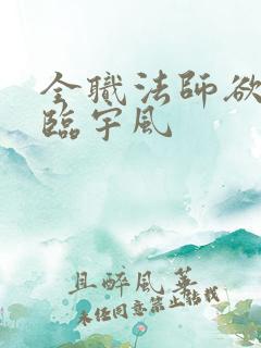 全职法师欲魔降临宇风