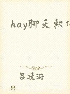 hay聊天软件