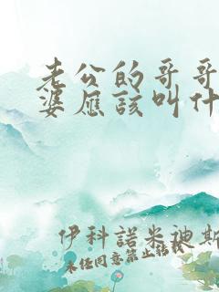 老公的哥哥的老婆应该叫什么