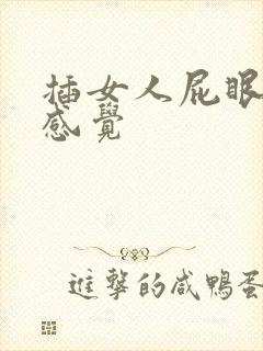插女人屁眼什么感觉