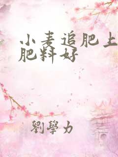 小麦追肥上什么肥料好 小麦追肥上什么肥料好
