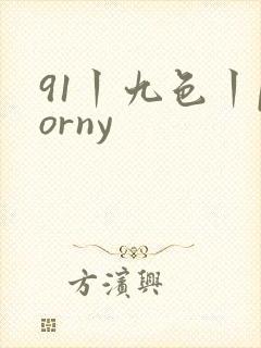 91丨九色丨porny