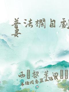 普法栏目剧我的妻