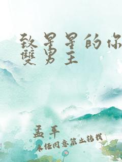 致星星的你韩剧双男主