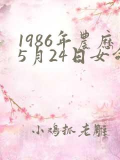 1986年农历5月24日女命