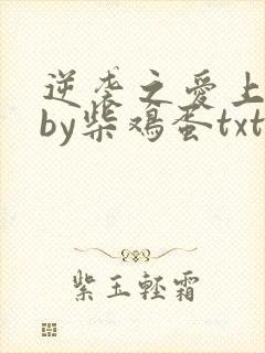 逆袭之爱上情敌by柴鸡蛋txt