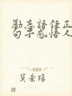 励志语录正能量句子感悟人生