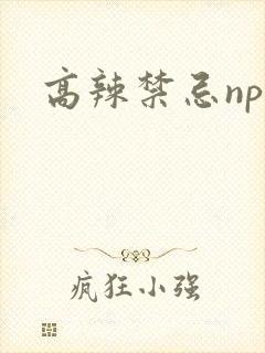 高辣禁忌np文