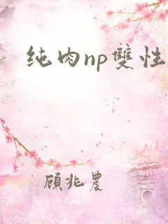 纯肉np双性