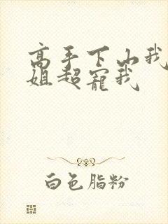 高手下山我家师姐超宠我