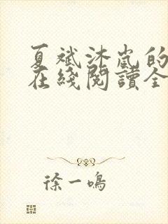 夏斌沐岚的小说在线阅读全文无弹窗