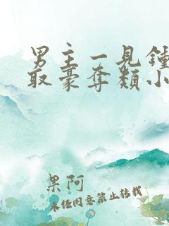 男主一见钟情强取豪夺类小说