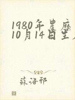 1980年农历10月14日生辰八字