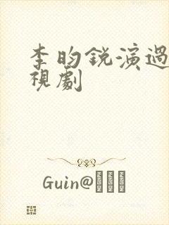 李昀锐演过的电视剧