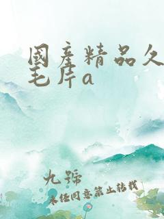 国产精品久久久毛片a 国产精品久久久毛片a