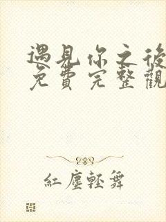 遇见你之后短剧免费完整观看高清